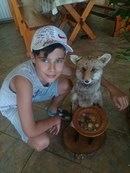Для Детская школа искусств