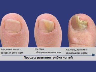  Центр семейного здоровья