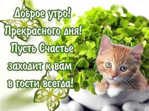 Новость Центр семейного
