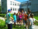 Новость 