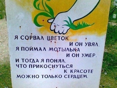 Новость 