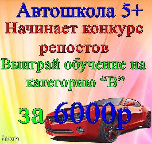 Картинка 5+, сеть автошкол