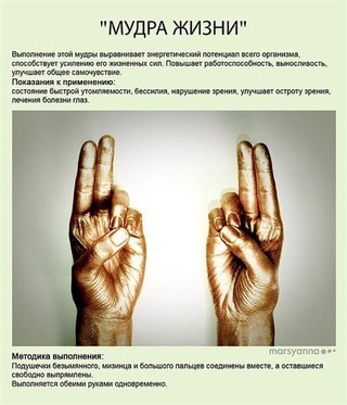 Новость ABACUS, центр развития умственных способностей и творческого потенциала ребенка