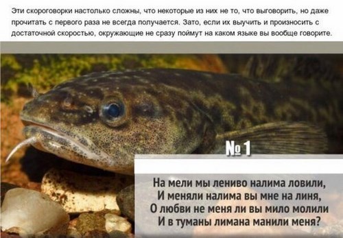 Бенефис, школа актерского мастерства