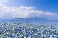 Cheese Photo Ульяновск