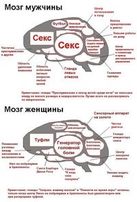 ЕиЛ Ульяновск