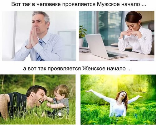 Картинка ЕиЛ школа развития