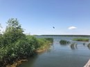 Для ЭТМ Ульяновск