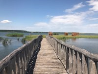 Новость ЭТМ