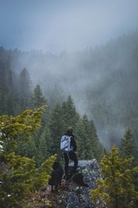 Картинка Институт Консалтинга