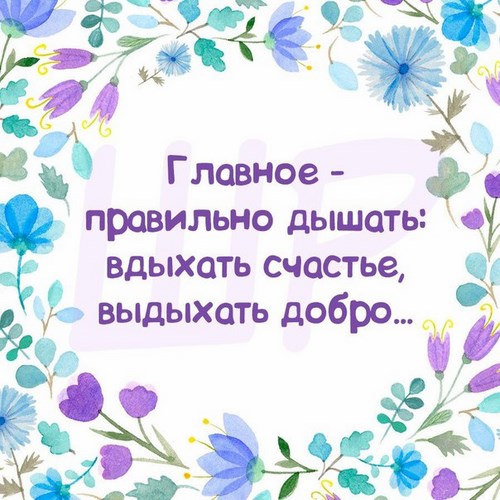 Мое хобби, ООО, магазин-мастерская