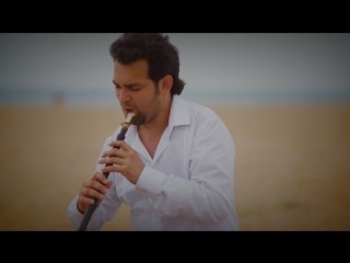  Музыкальное училище им. Г.И. Шадриной, УлГУ