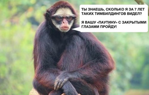 Картинка МЯТА