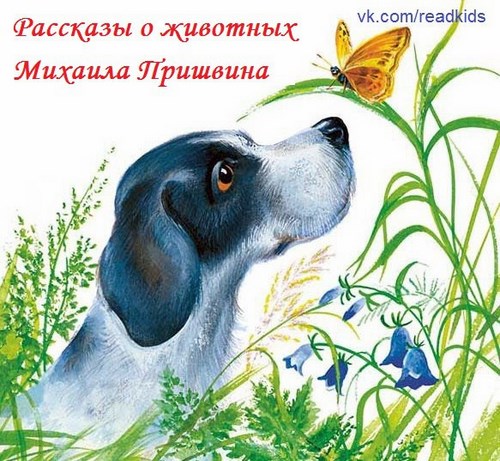 Для Продлёнка детский