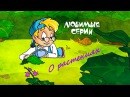 Картинка Совенок клуб раннего