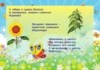 Тип-Топ детский центр